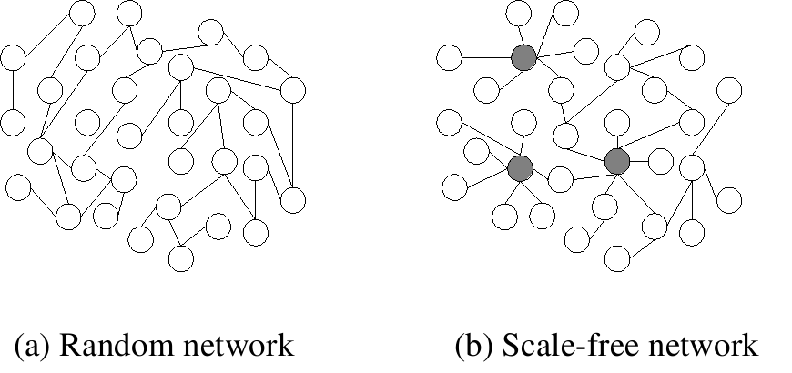 Drawing depicting the difference between a random network and a scale-free network that has hubs